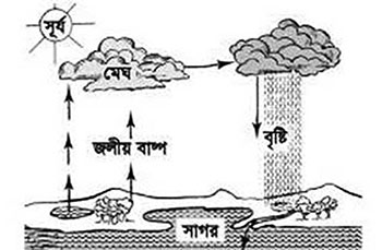 প্রাথমিক বিজ্ঞান