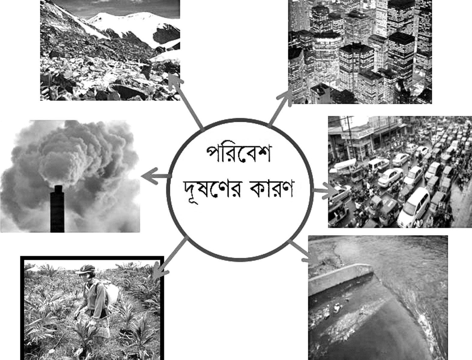 প্রাথমিক শিক্ষা সমাপনী পরীক্ষার প্রস্তুতি   প্রাথমিক বিজ্ঞান