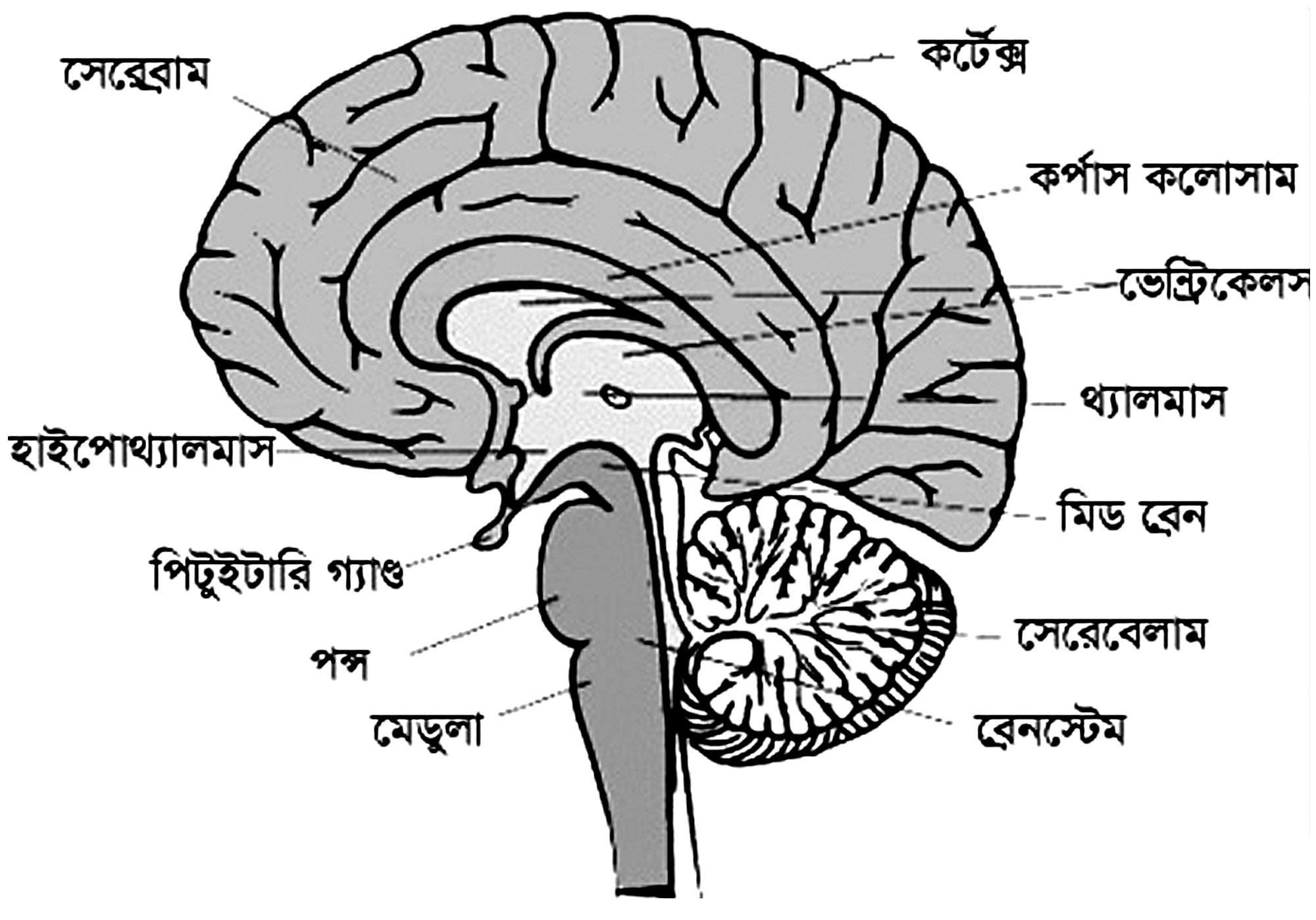 জীববিজ্ঞান