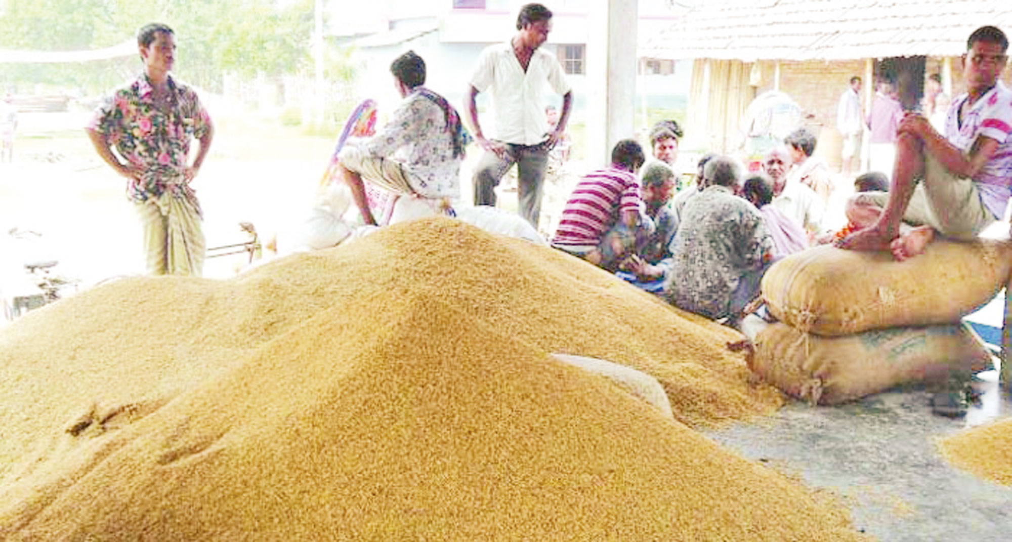 আরও আড়াই লাখ টন ধান কিনবে সরকার