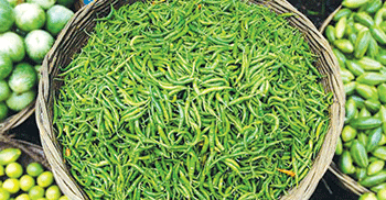 দাম বাড়লেও ঝাল কম মরিচের