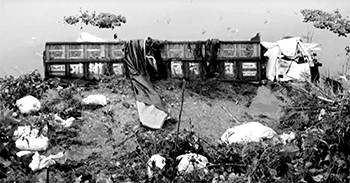 ঈদযাত্রায় সড়কে ঝরল ১৭ প্রাণ