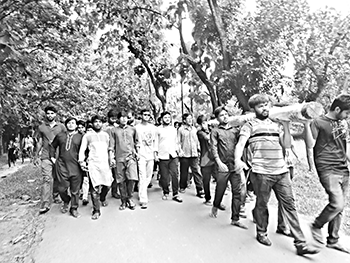 কাটা গাছে কাফন পরিয়ে শিক্ষার্থীদের বিক্ষোভ