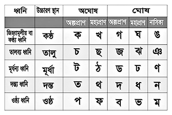 ৬ষ্ঠ শ্রেণির পড়াশোনা বাংলা ২য় পত্র