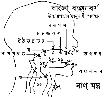 বাংলা ২য় পত্র