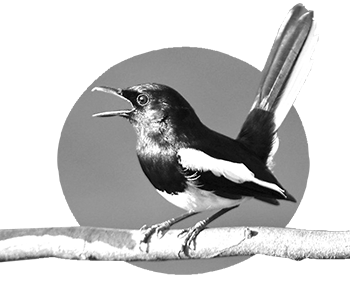 নবম-দশম শ্রেণির পড়াশোনা (জীববিজ্ঞান)