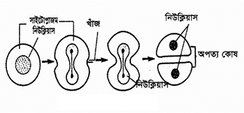জীববিজ্ঞান