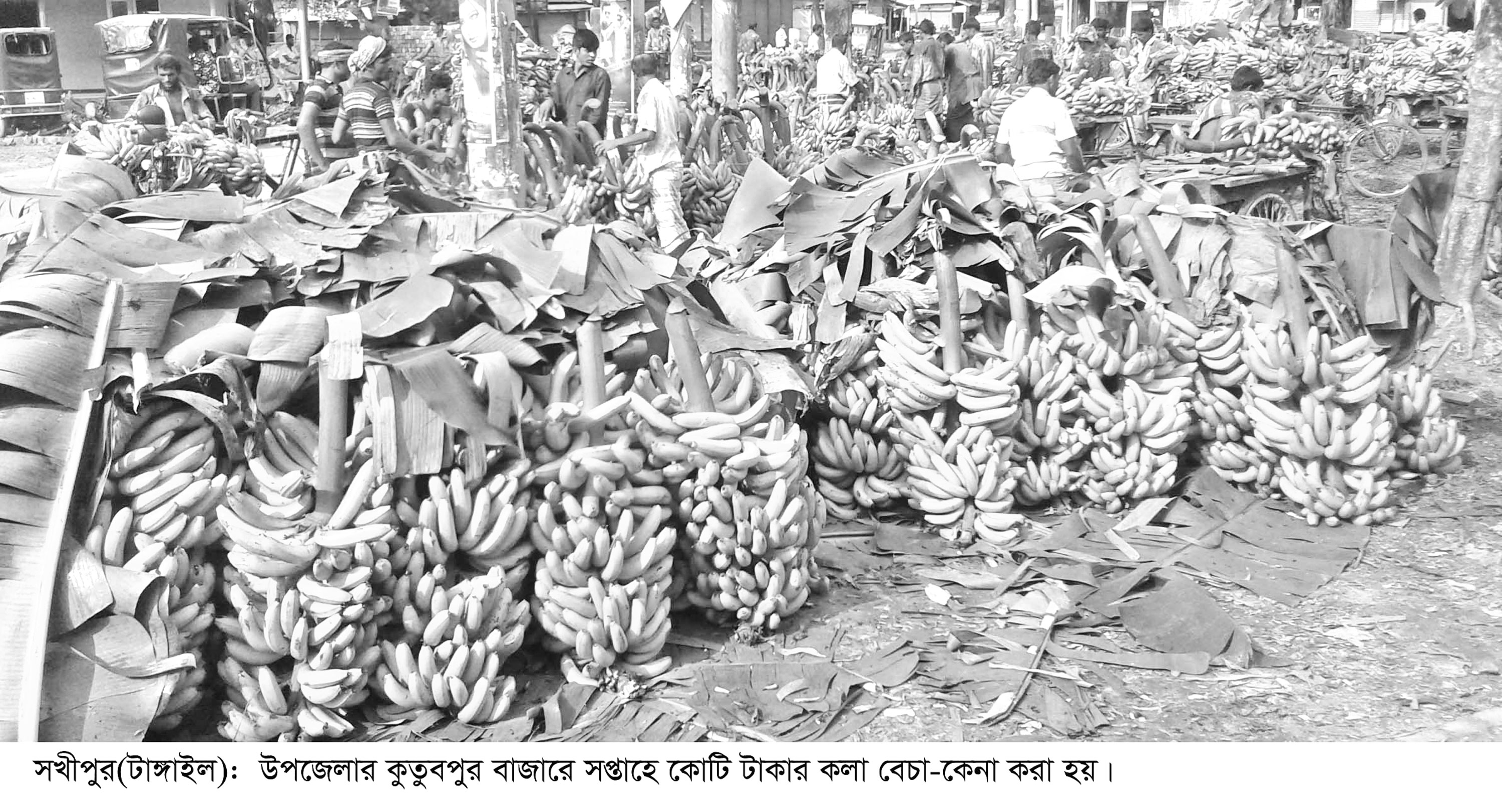 কুতুবপুর হাটে কোটি টাকার কলা বিক্রি