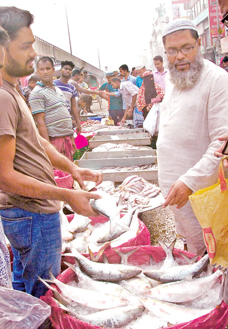 ১৬০০ টাকার ইলিশ এখন ৭০০ টাকা