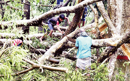 এবারও বাঁচিয়ে দিল সুন্দরবন
