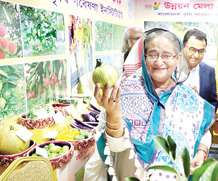 ক্ষুদ্রঋণে দারিদ্র্য লালন করা হয়: প্রধানমন্ত্রী