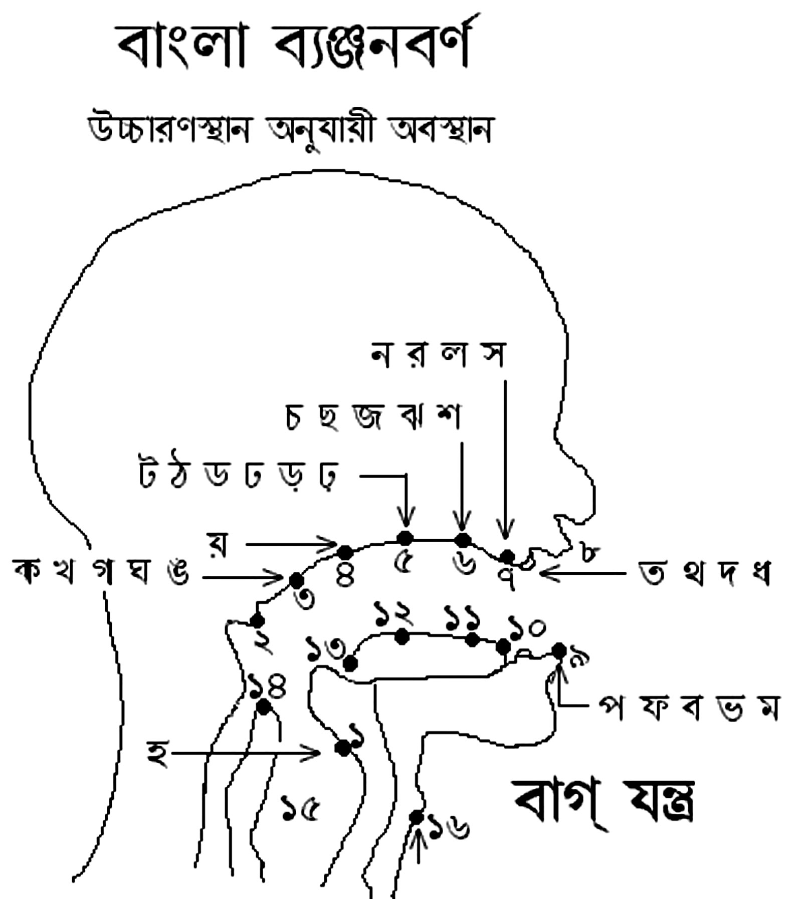 ৬ষ্ঠ শ্রেণির পড়াশোনা (বাংলা দ্বিতীয় পত্র)