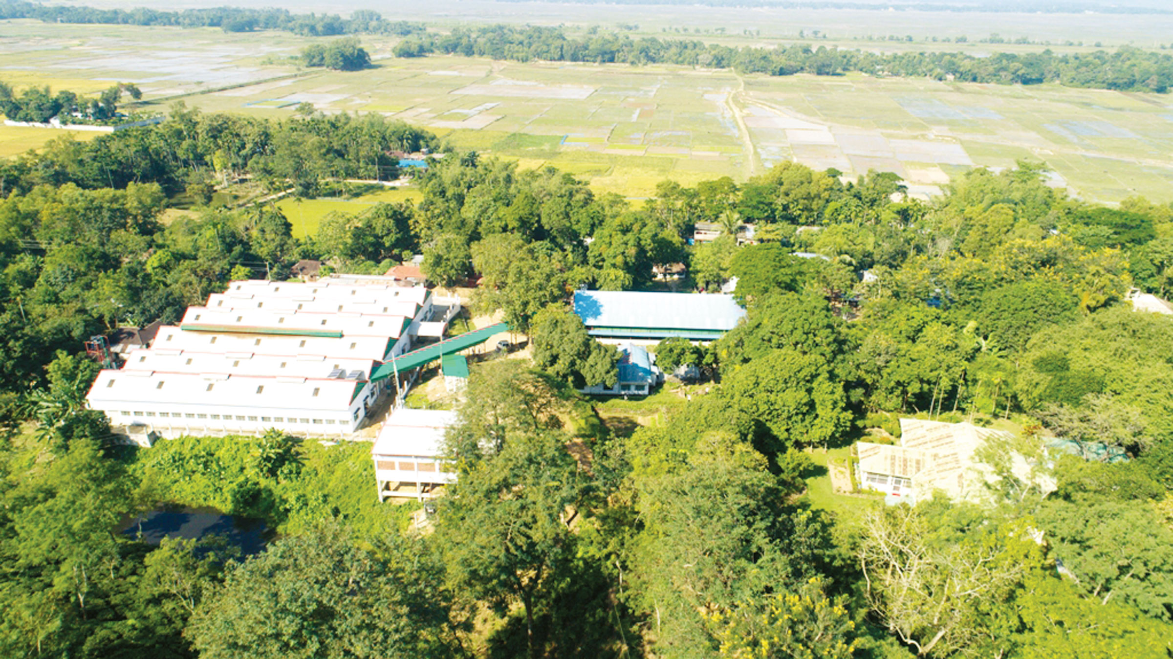 এইচআরসির 'দিলদারপুর চা বাগানের' চা প্রক্রিয়াকরণ কারখানার উদ্বোধন