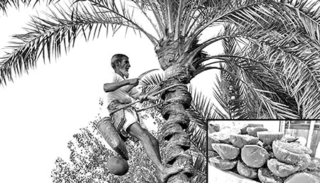 এসএসসি পরীক্ষার প্রস্তুতি