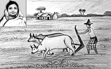এইচএসসি পরীক্ষার প্রস্তুতি