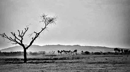 এমন উষ্ণতম জানুয়ারি ১৪১ বছরে দেখেনি পৃথিবী