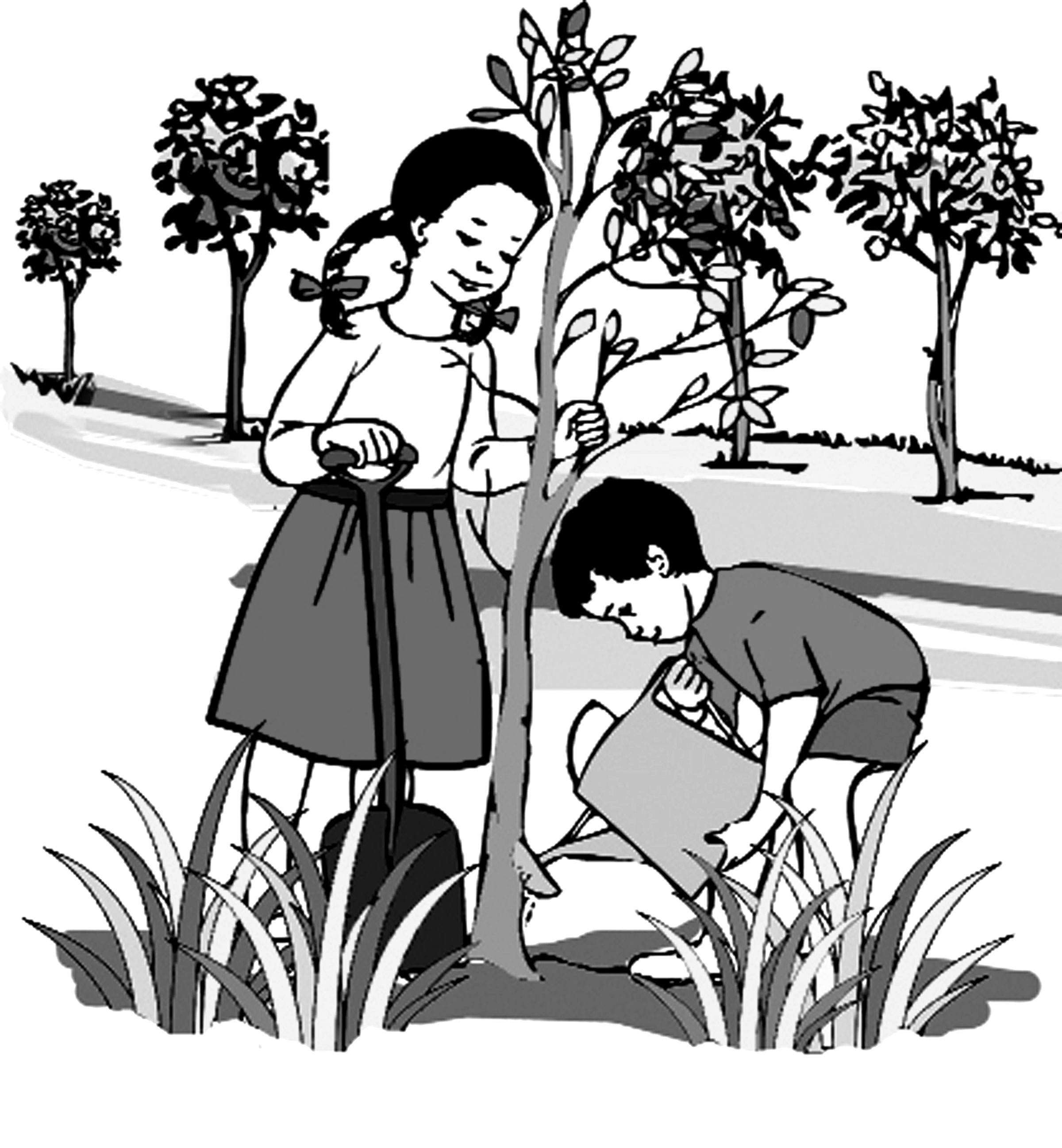 প্রাথমিক শিক্ষা সমাপনী পরীক্ষার প্রস্তুতি