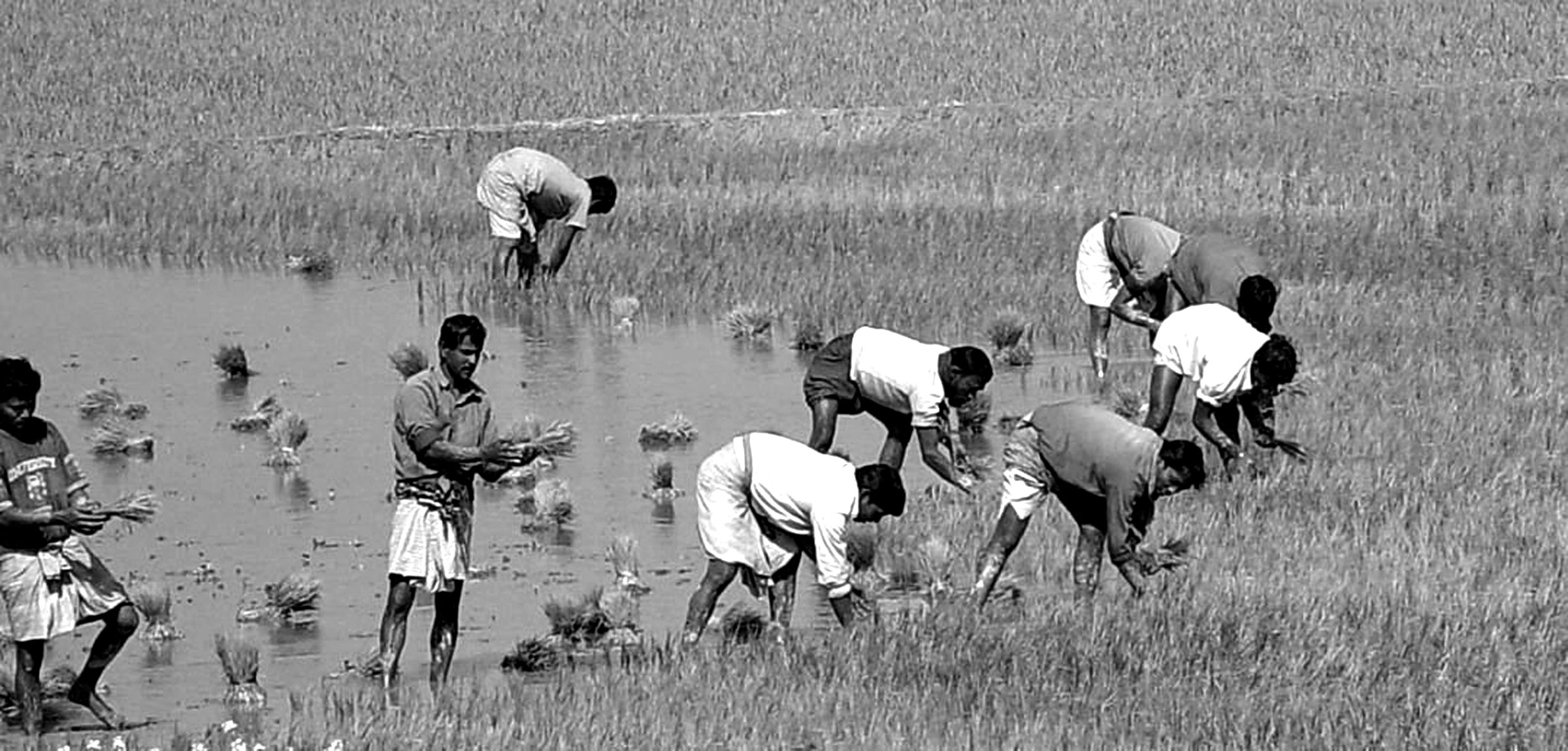 জুনিয়র স্কুল সার্টিফিকেট পরীক্ষার প্রস্তুতি