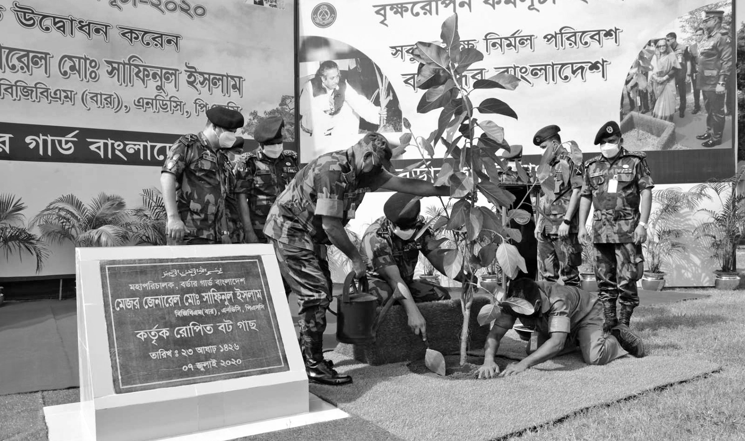 বিজিবির বৃক্ষরোপণ কর্মসূচি উদ্বোধন