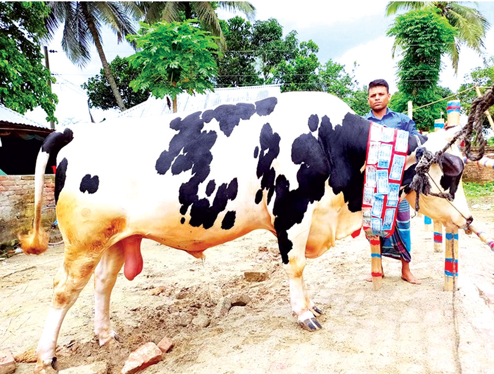 ২৫ মণের টাইগার নিয়ে দুশ্চিন্তায় মালিক