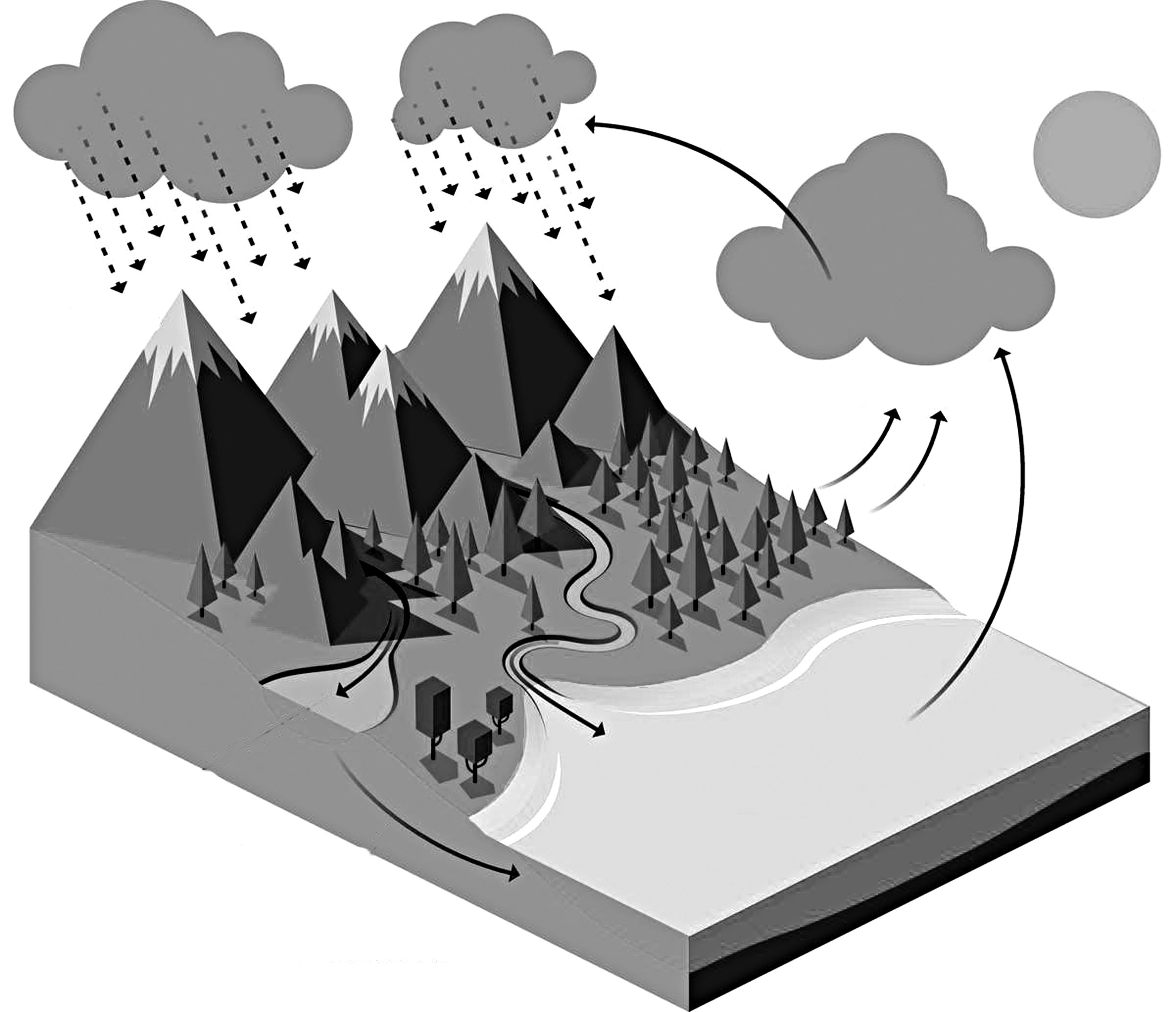 প্রাথমিক শিক্ষা সমাপনী পরীক্ষার প্রস্তুতি