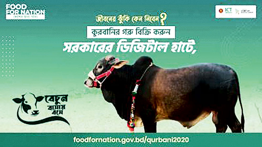 দামের তুলনায় গরু দেখে মন ভরছে না