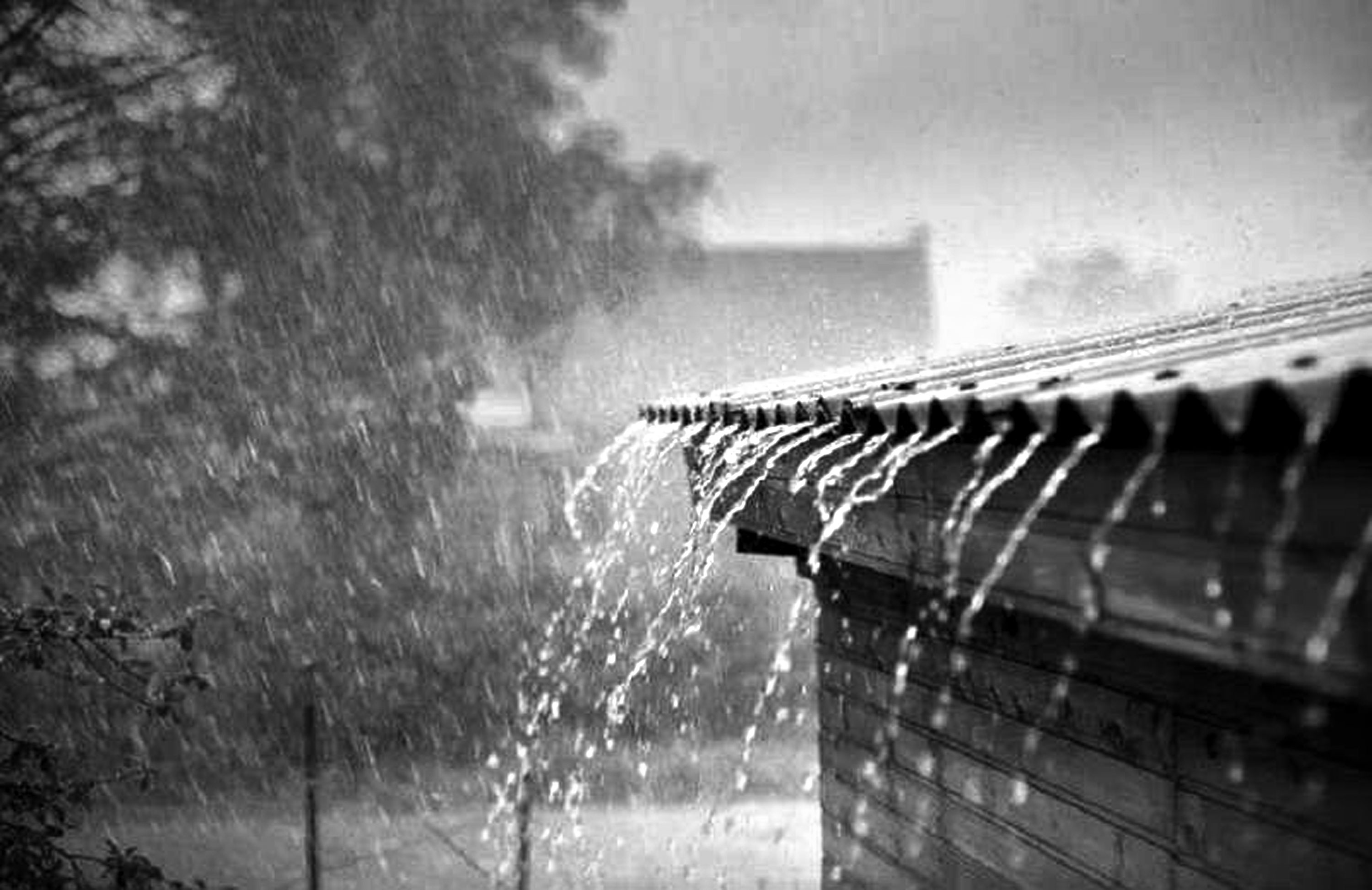 প্রাথমিক শিক্ষা সমাপনী পরীক্ষার প্রস্তুতি