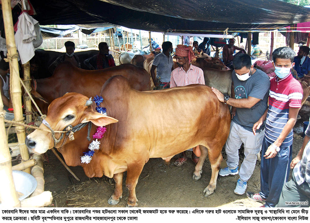 বেচাকেনা কিছুটা বাড়লেও পশুর হাট এখনো জমেনি