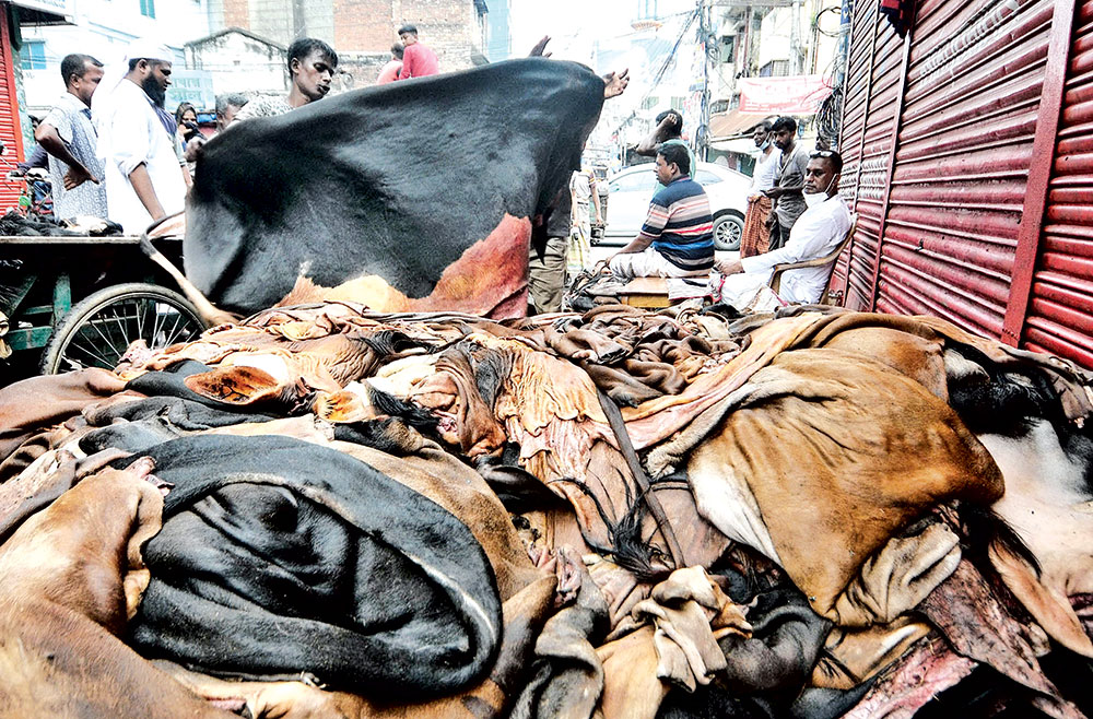 দেশের নিম্নমানের চামড়ার কদর নেই বিশ্ববাজারে!