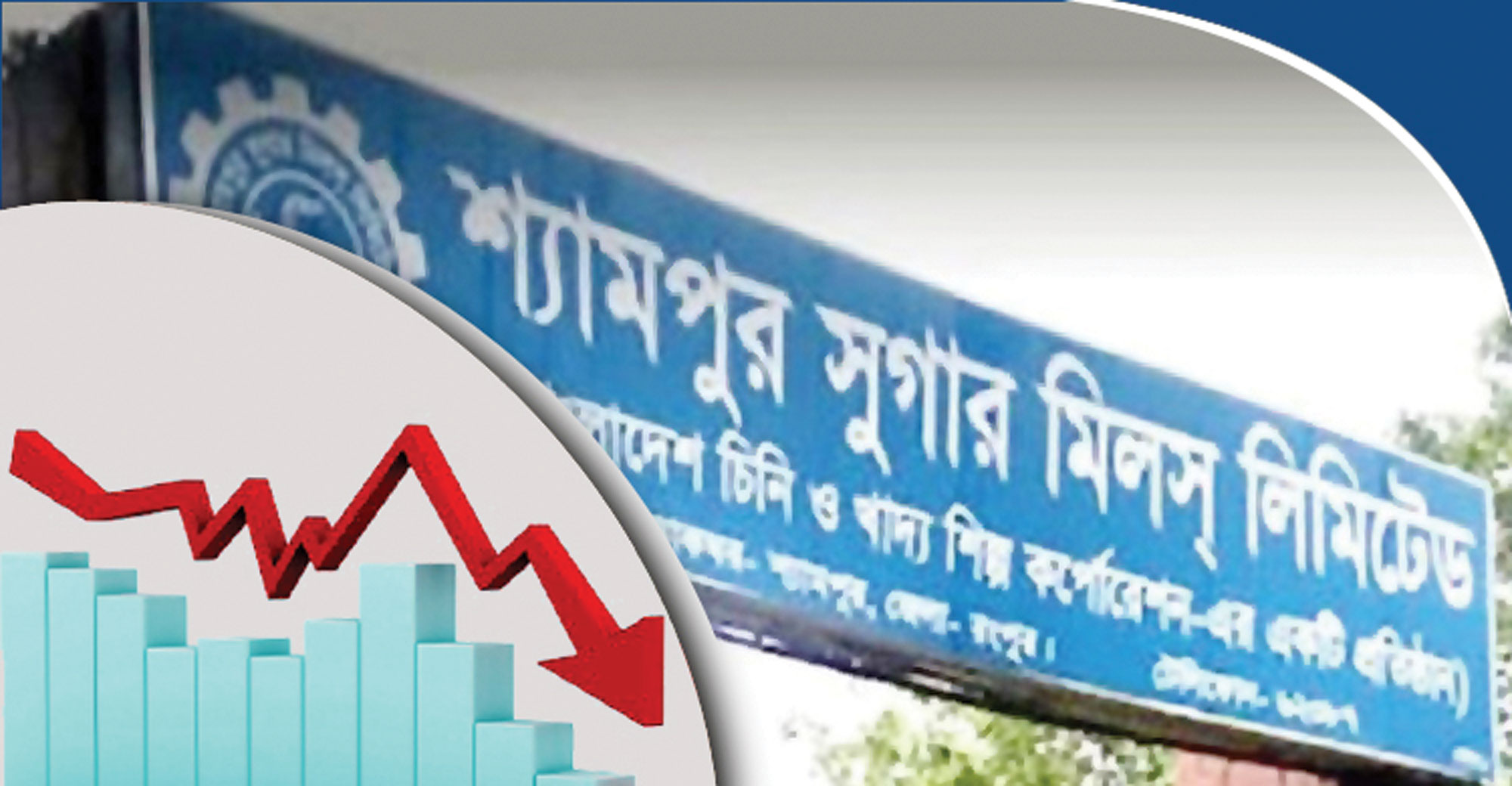 এবার পতনের ধারায় শ্যামপুর সুগার মিলস্‌