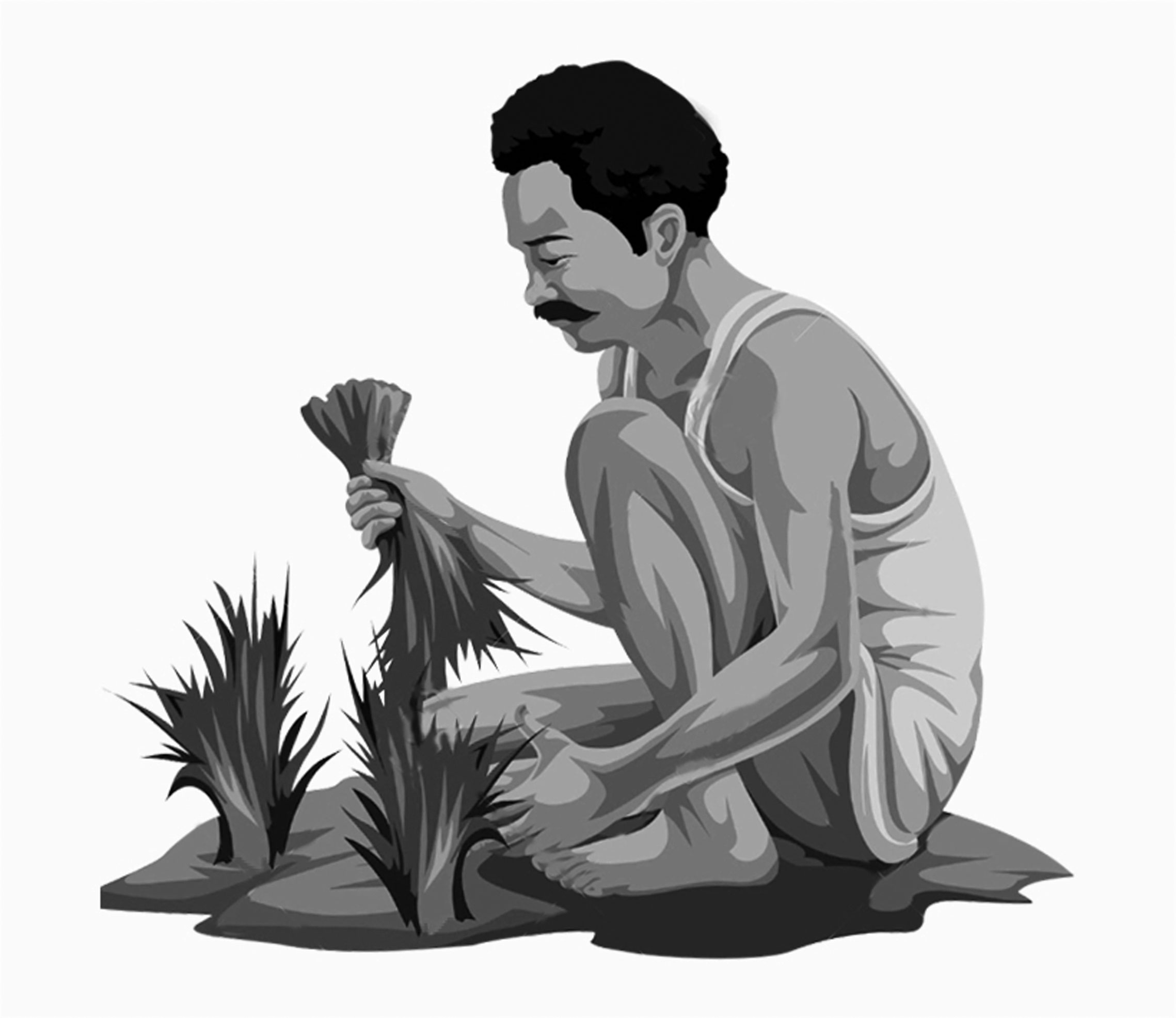 এইচএসসি পরীক্ষার প্রস্তুতি (ইংরেজি প্রথম পত্র)