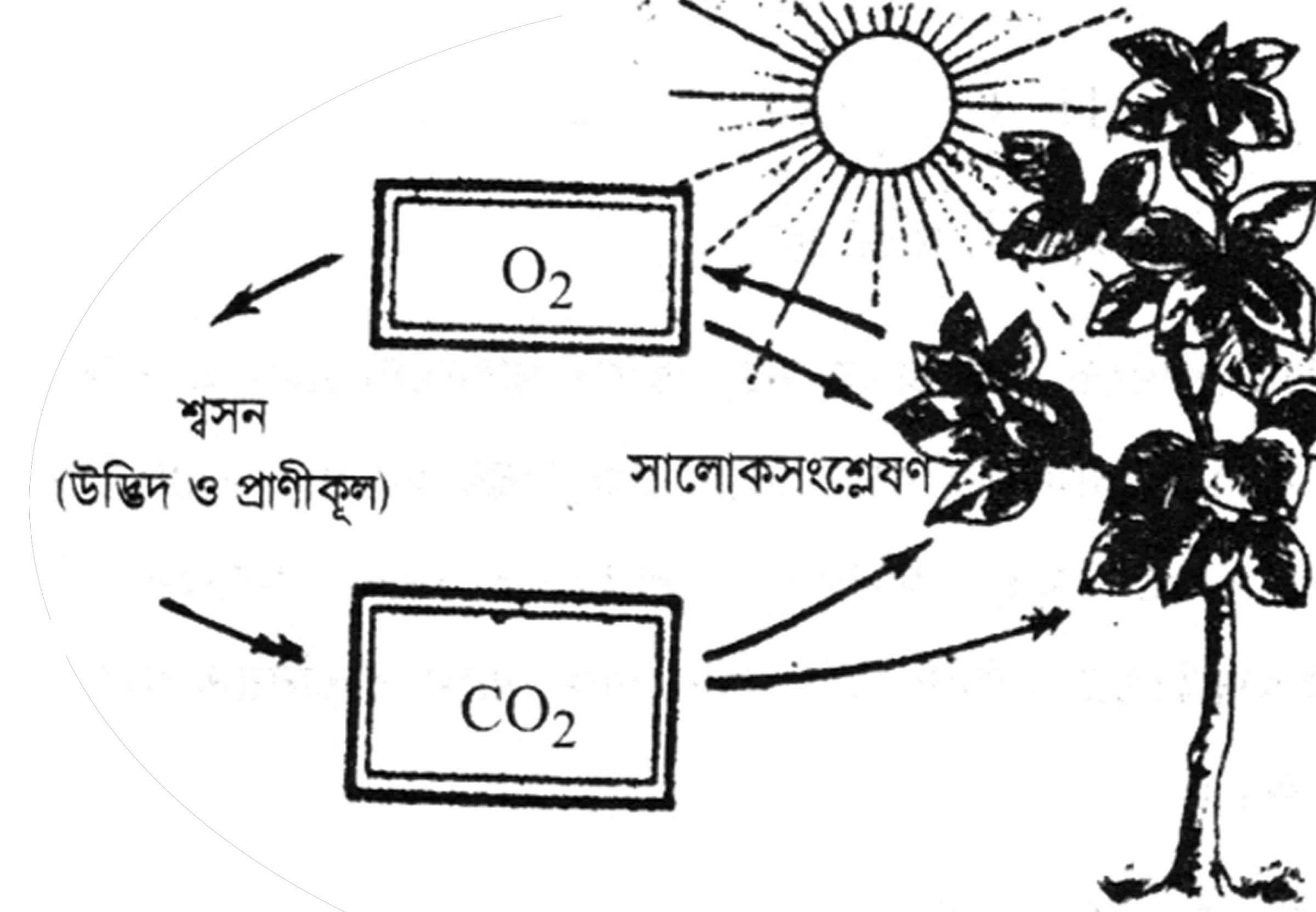 দশম শ্রেণির পড়াশোনা