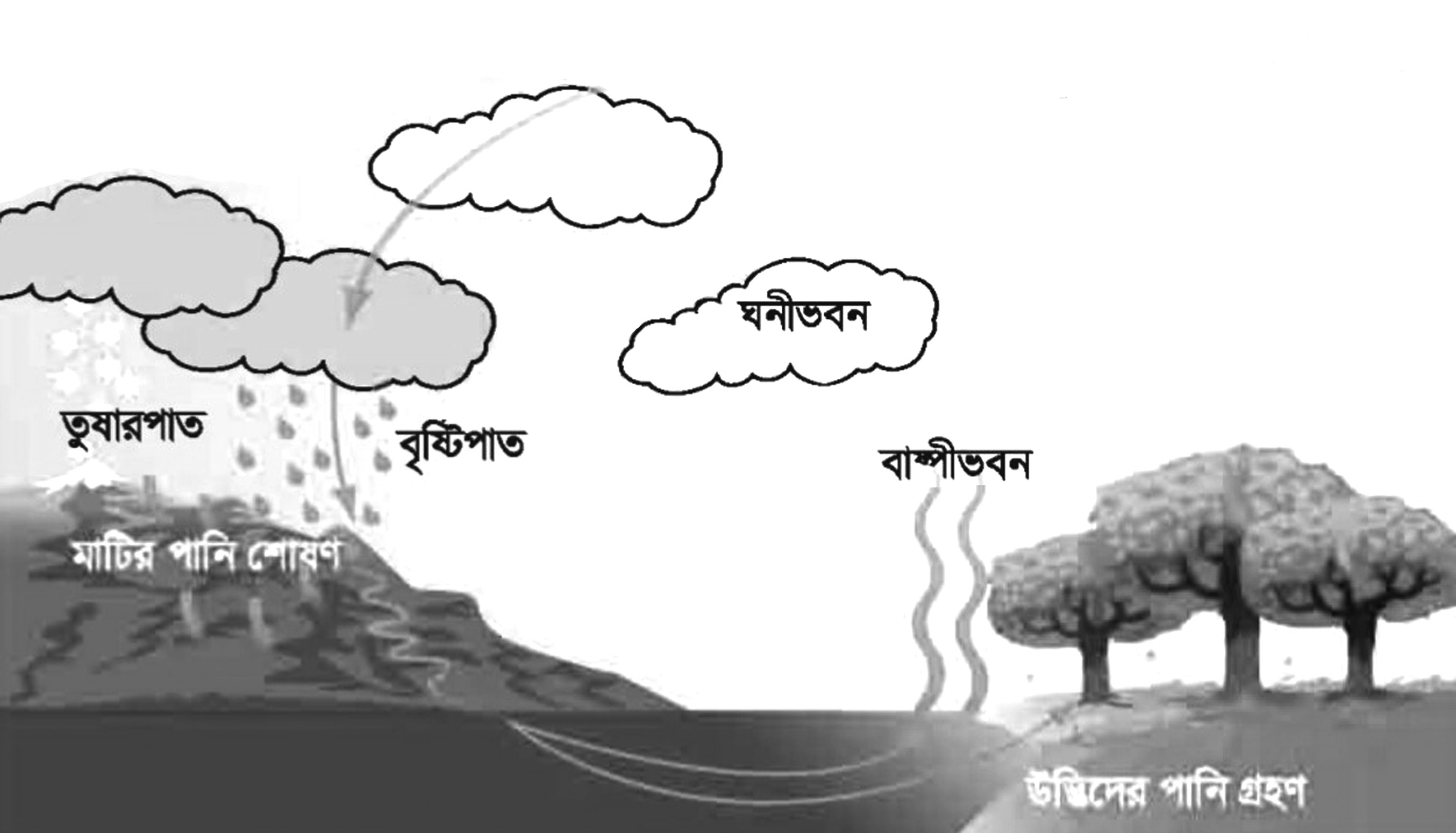 বিজ্ঞানের যত কথা