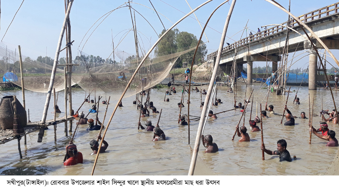 সখীপুরে মাছ ধরা উৎসব