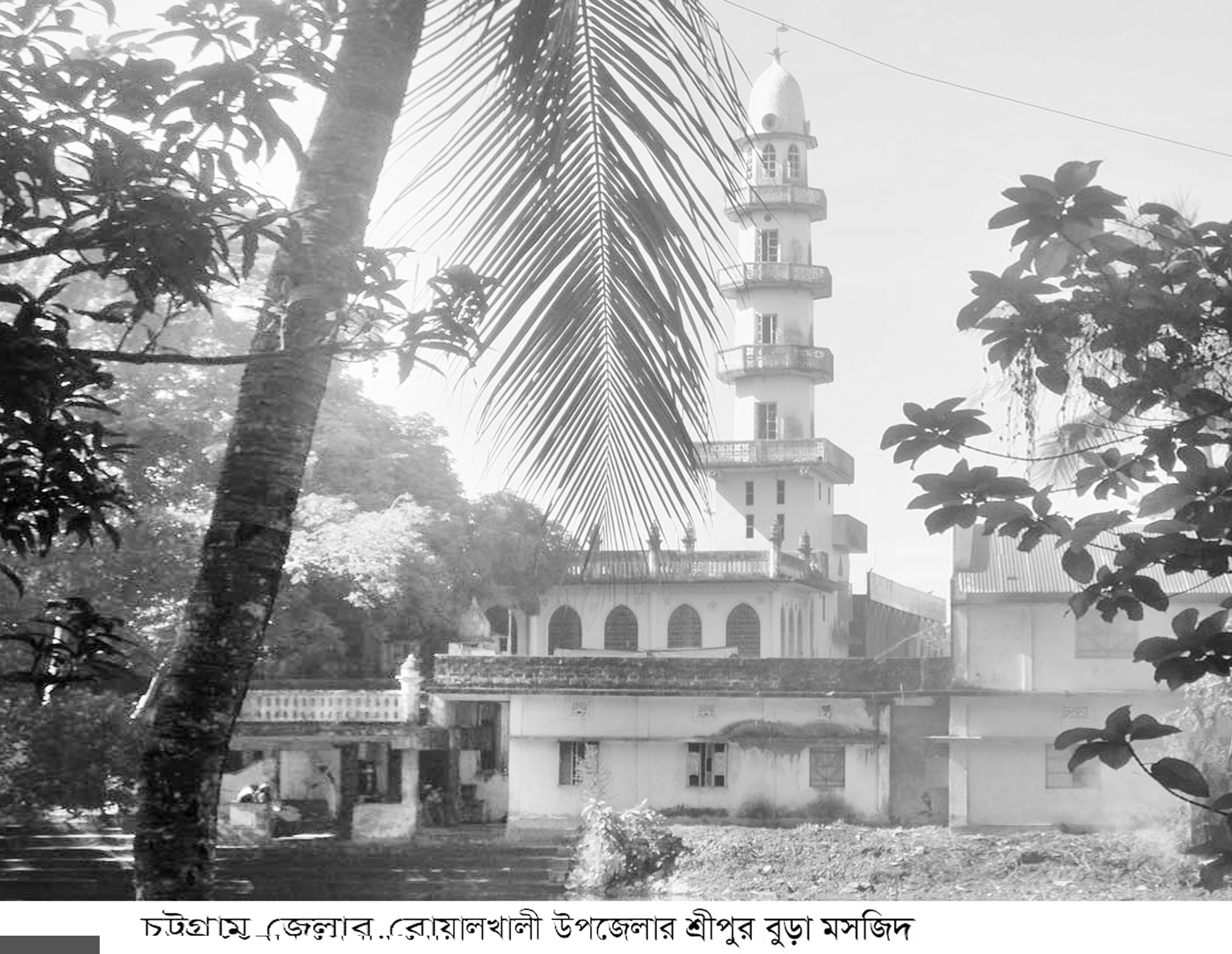 বোয়ালখালীর ঐতিহ্য শ্রীপুর বুড়া মসজিদ
