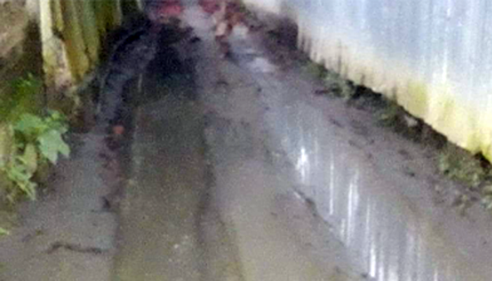 চন্দনাইশে সড়কের বেহাল দশা