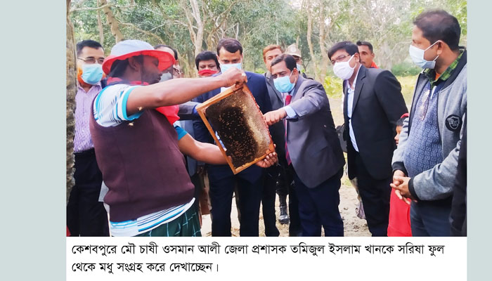 ​কেশবপুরে সরিষা ক্ষেত থেকে ৩৭ মণ মধু সংগ্রহ