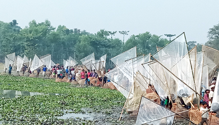 ​বিশ্বনাথে ‘বড়বিলে’ ঐতিহ্যবাহি পলো বাওয়া উৎসব