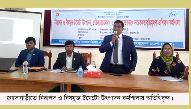গোদাগাড়ীতে নিরাপদ ও বিষমুক্ত টমেটো উৎপাদনে প্রশিক্ষণ
