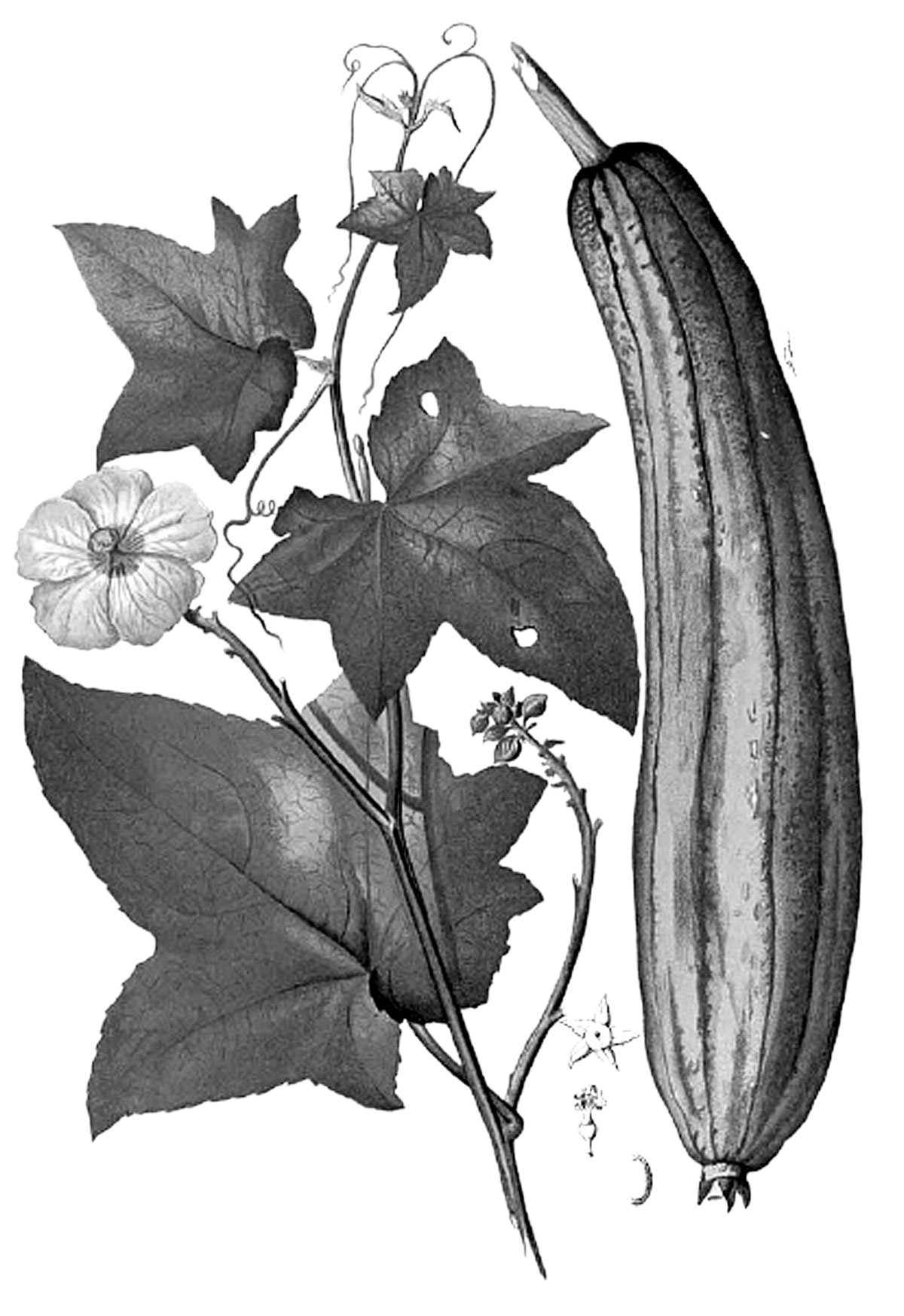 ষষ্ঠ শ্রেণির পড়াশোনা