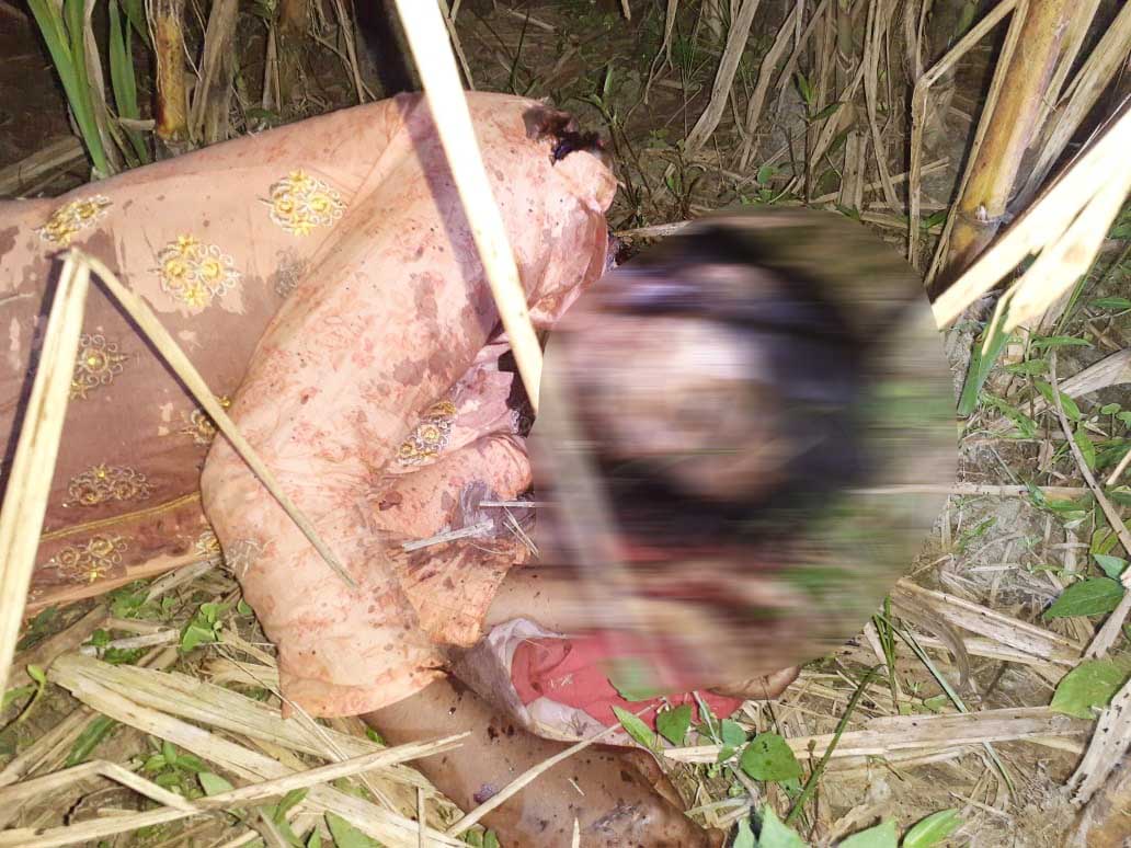 ​জীবননগরে আখ ক্ষেত থেকে মধ্য বয়সী মহিলার লাশ উদ্ধার