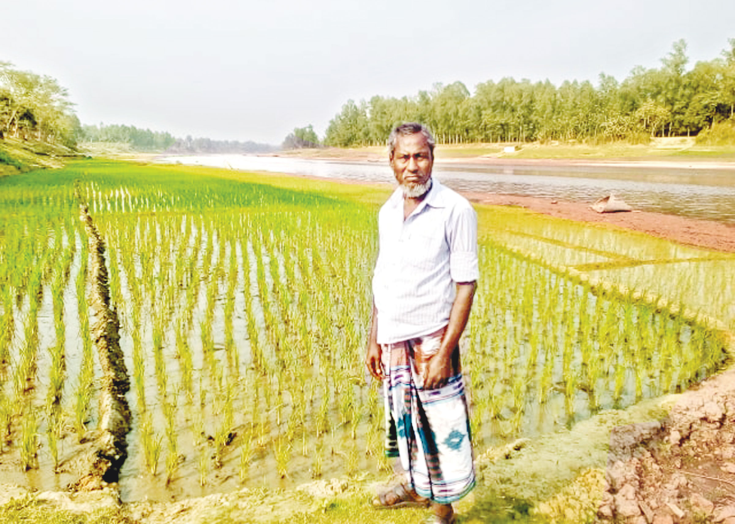 চাষ হচ্ছে গম-ভুট্টাসহ বিভিন্ন শাকসবজি