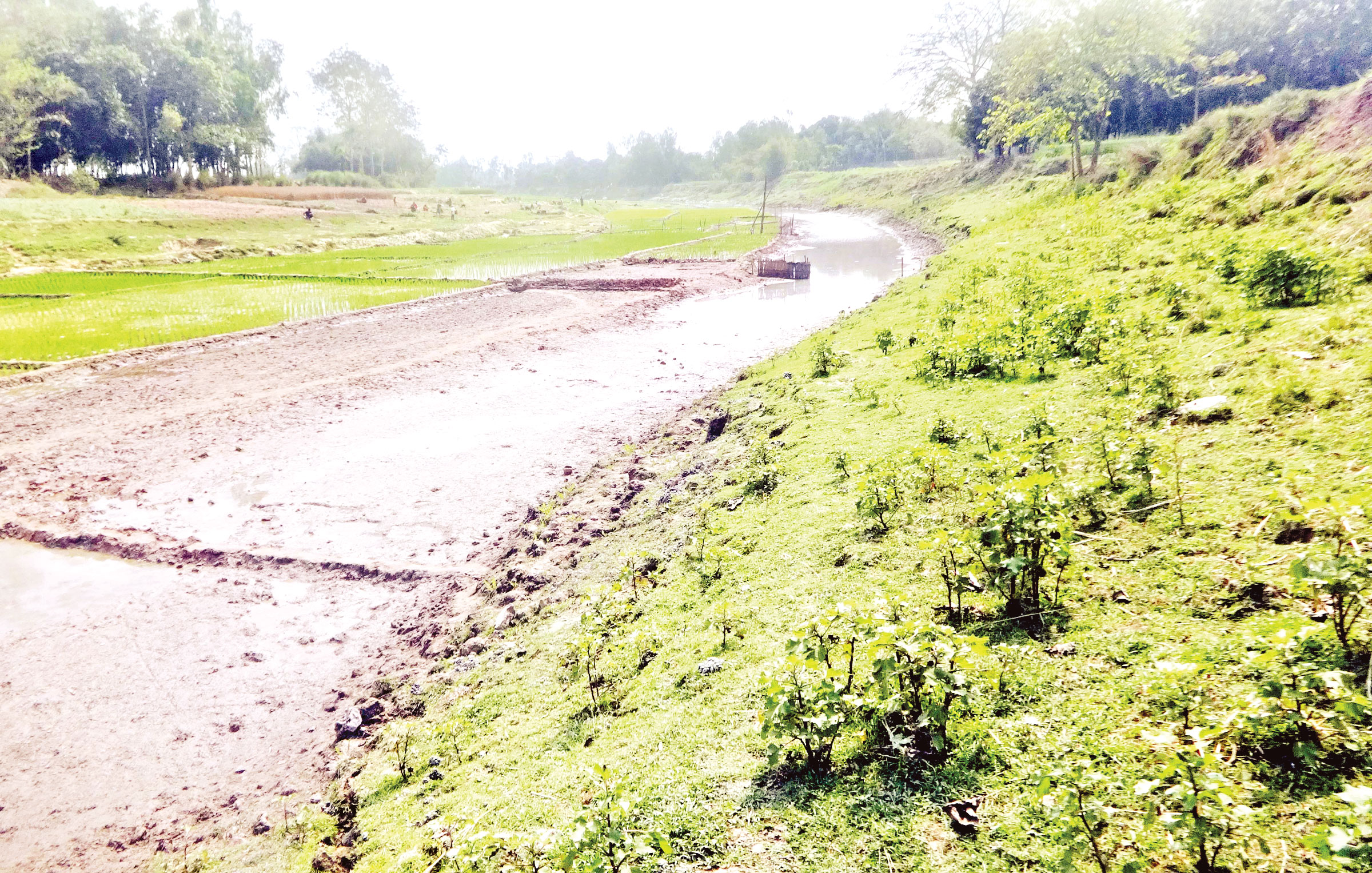 প্রাকৃতিক পরিবেশ বিপর্যয়ের পূর্বাভাস