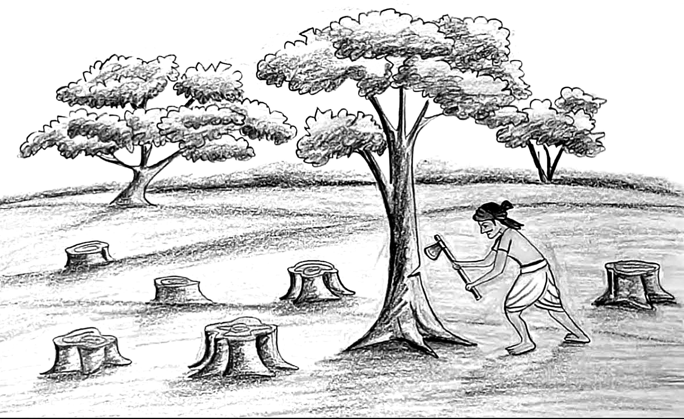 পঞ্চম শ্রেণির পড়াশোনা প্রাথমিক বিজ্ঞান