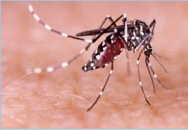ডেঙ্গু বাড়ার ঝুঁকি হাত ধোয়ার পরিত্যক্ত বেসিন-ট্যাংকে