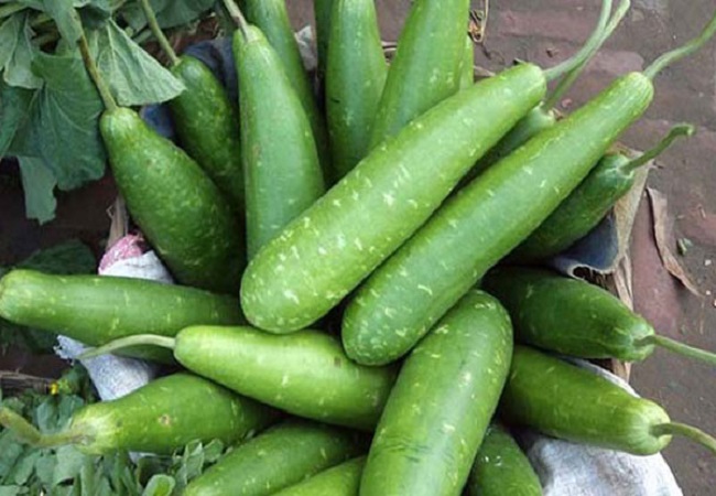 লাউ খেলে মিলবে ৫ উপকার
