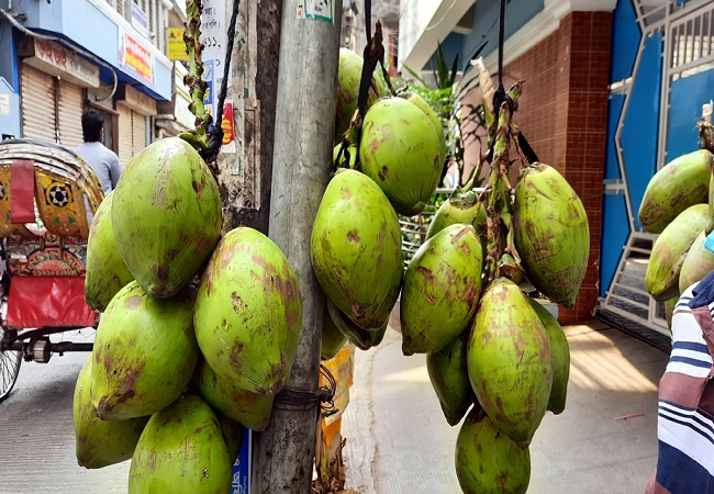 এক ডাবের দাম ১০০ টাকা !