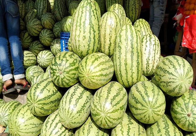 কম দামে কিনে বেশি দামে বিক্রি হচ্ছে তরমুজ