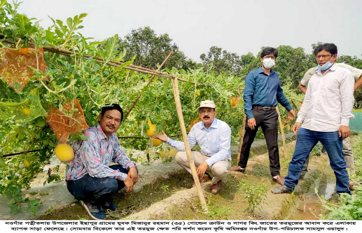 পত্নীতলায় গোল্ডেন ক্রাউন ও সাগর কিং তরমুজ আবাদে সাড়া