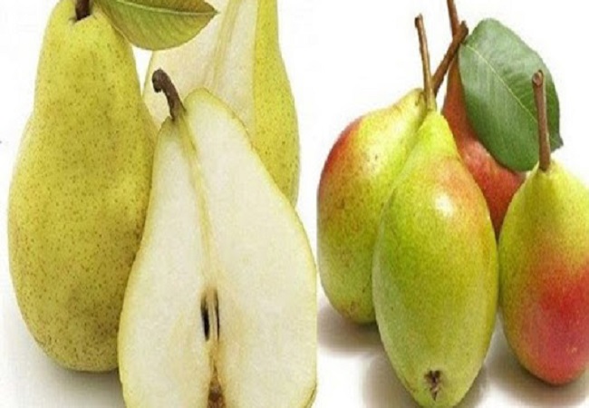 নাশপাতির যত উপকারী গুন